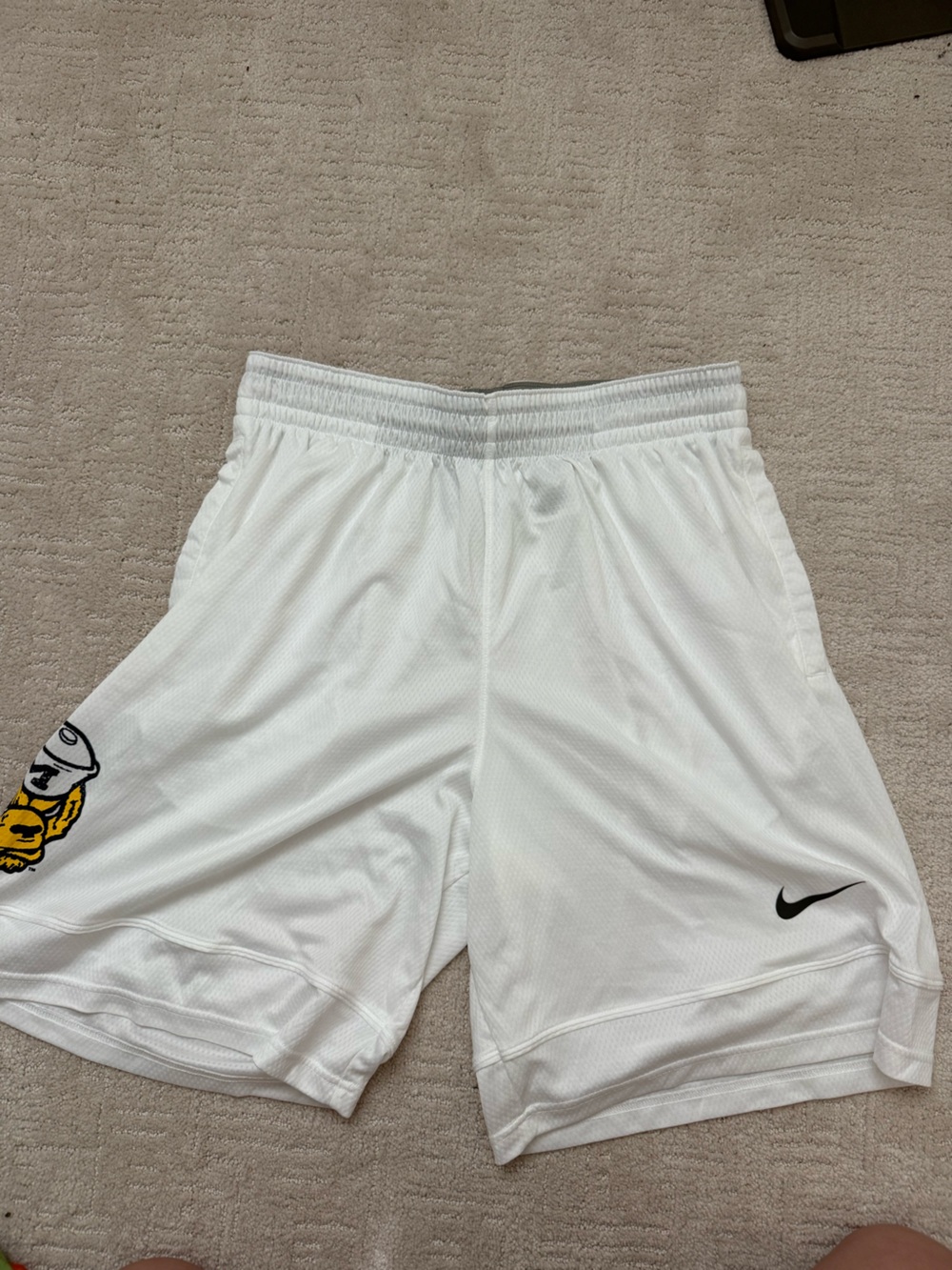Nike Men’s Michigan Shorts